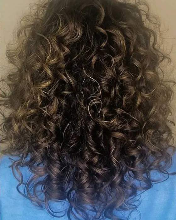 Rizos definidos con el Método Curly